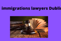 Immigration criminal lawyer