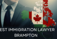 Immigration lawyer fremont