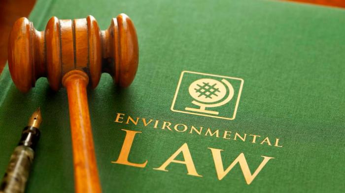 How to become an environmental lawyer