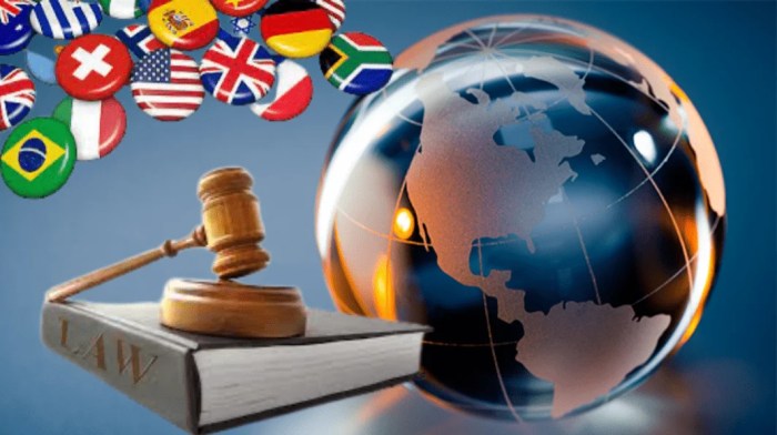 Lawyer international business