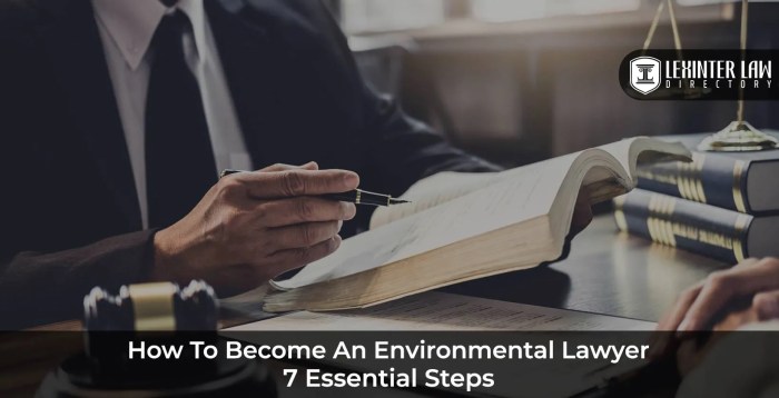 Lawyer environmental